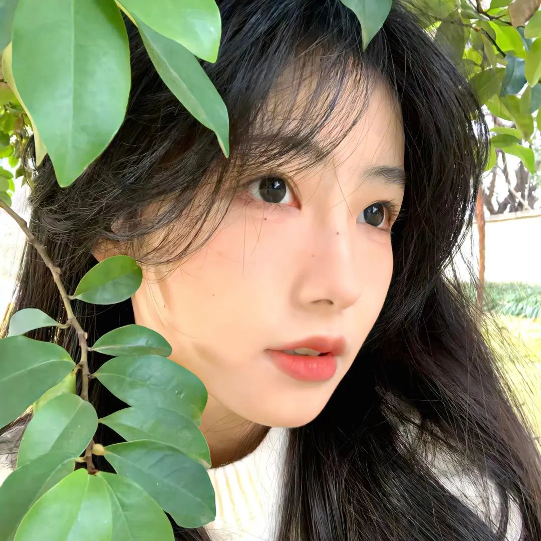 马与人
